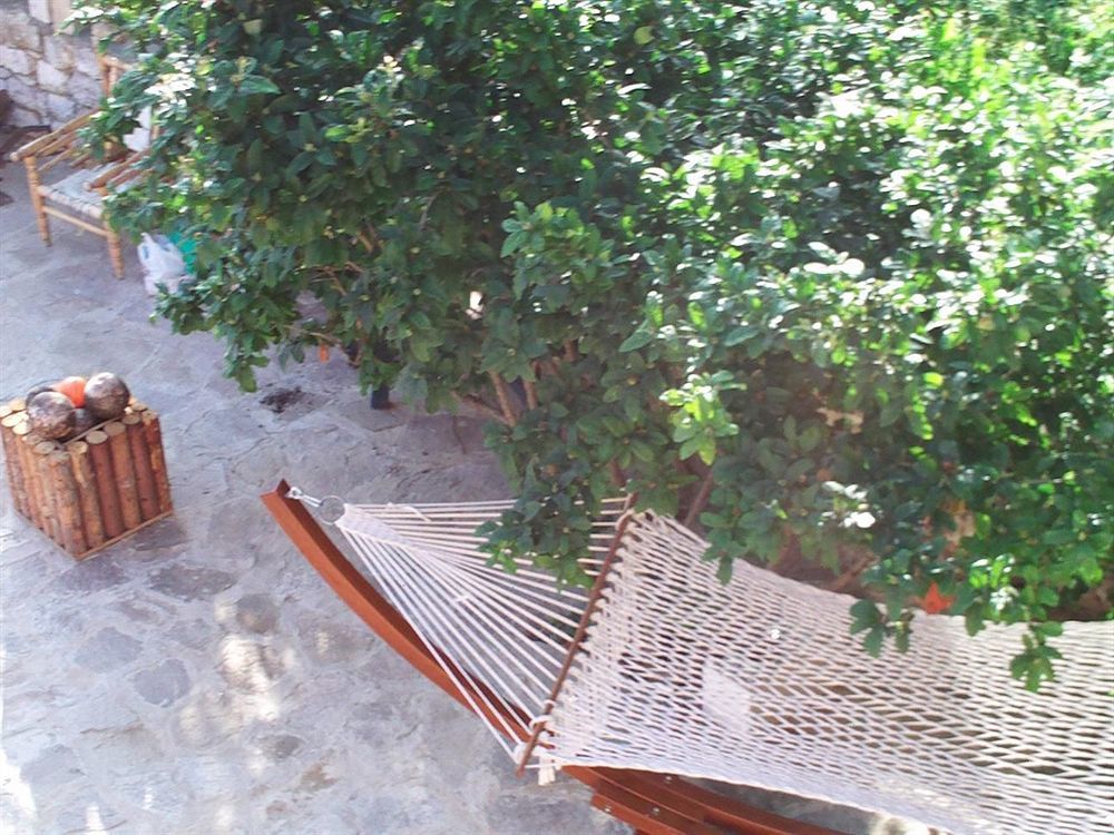Villa Eden Golden Sands Exterior photo